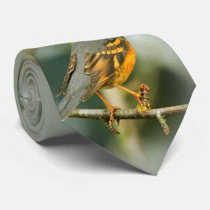 Gravata Uma Bela Bela Varia Incrível, Mas Segura