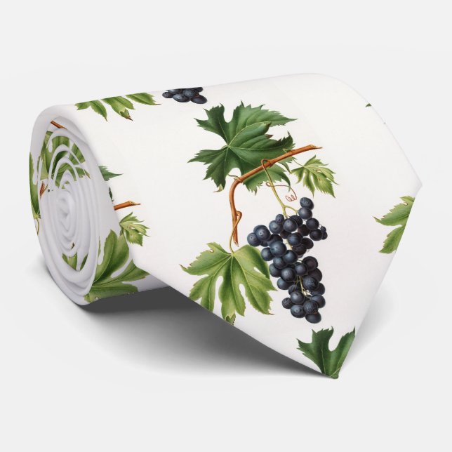 Gravata Uva de Brachetto: Giorgio Gallesio Neck Tie (Rolled)