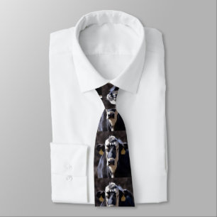 Gravata Vaca com marcas auriculares