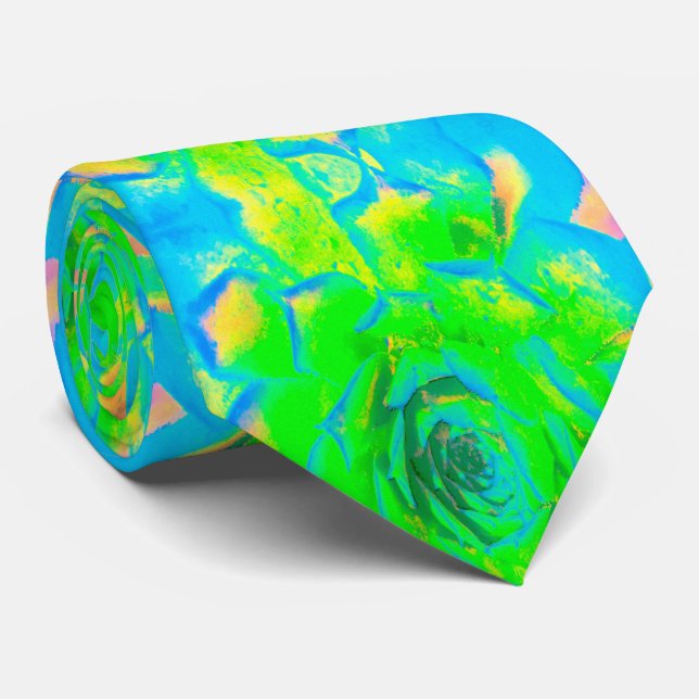 Gravata Verde limão Chartreuse Suculente Sedum Rosette (Rolled)