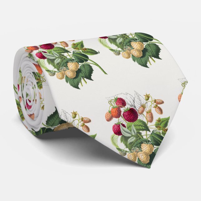 Gravata Vintage amarração do pescoço do morango (Rolled)