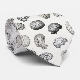 Gravata Vintage Brain Anatomy Biology Illustrations