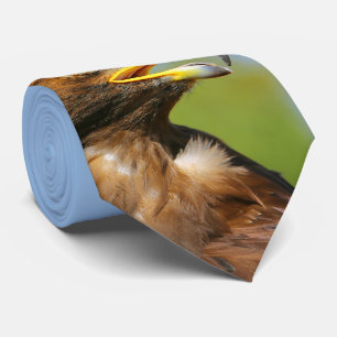 Gravata Visão de Eagle dourado novo bonito