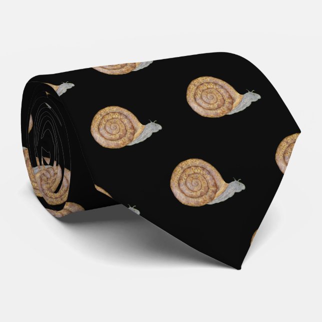 Gravata Watercolor Snail (Rolled)