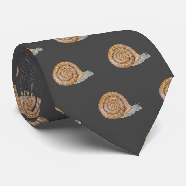 Gravata Watercolor Snail (Rolled)