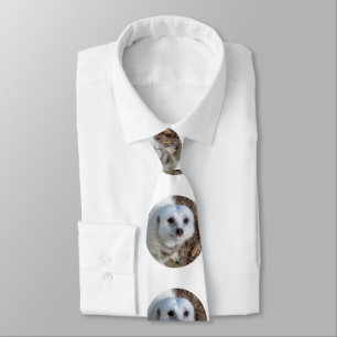 Gravata White Meerkat, Mens Silky Tie.