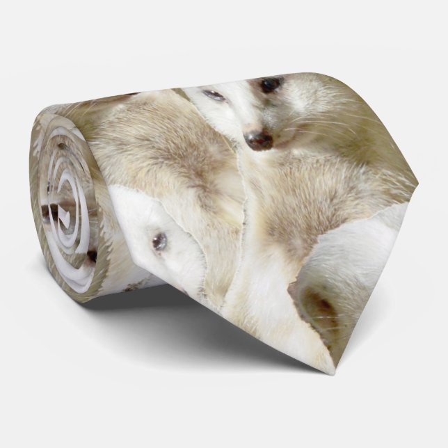 Gravata White Meerkats, (Rolled)