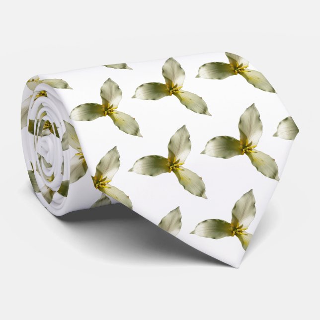 Gravata White Trillium Flower Spring Wildflower (Rolled)