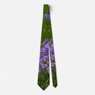 Gravata Wild Blue Phlox