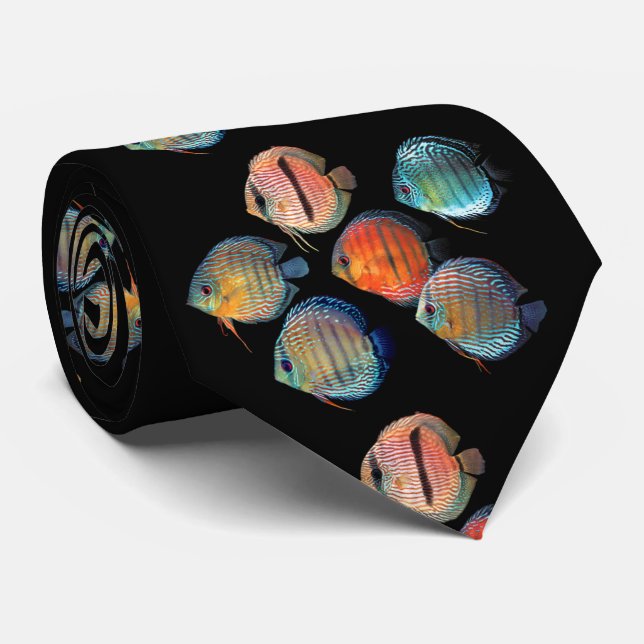 Gravata Wild Discus Fish (Rolled)