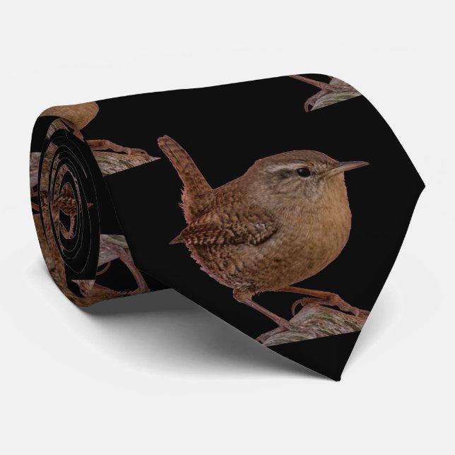 Gravata Wren Neck Tie (Rolled)