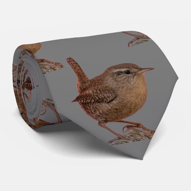 Gravata Wren Neck Tie (Rolled)