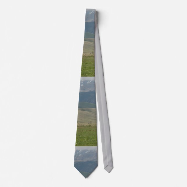 Gravata Wyoming Mountain Scene Necktie (Frente)