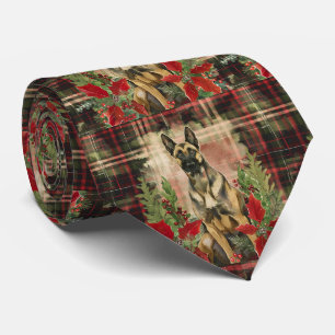 Gravata Xadrez de Natal belga Malinois