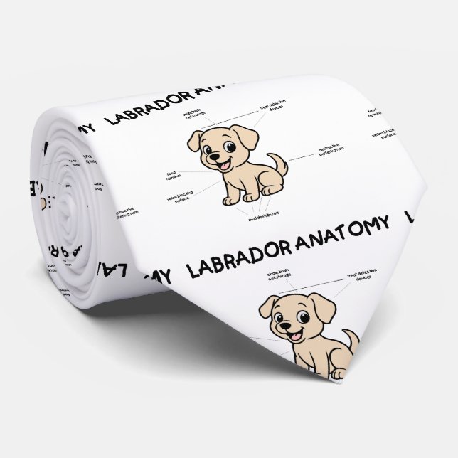 Gravata Yellow Lab Funny Cartoon Anatomy (Rolled)