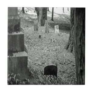 Grave Esquecido