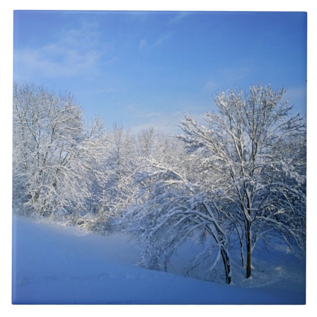 Grave neve em Louisville, Kentucky. (Frente)