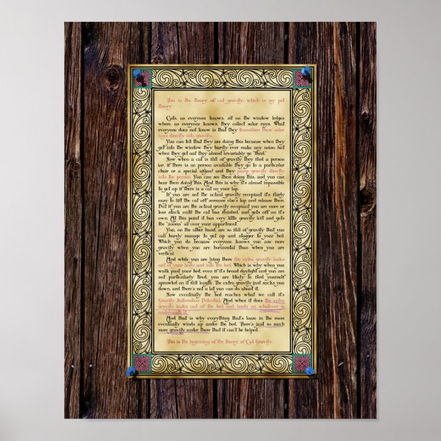 Gravidade Cat - Impressão ou Poster (Frente)