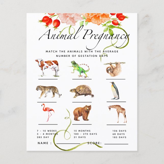 Gravidez Animal Pumpkin Jogo de Chá de fraldas (Frente)