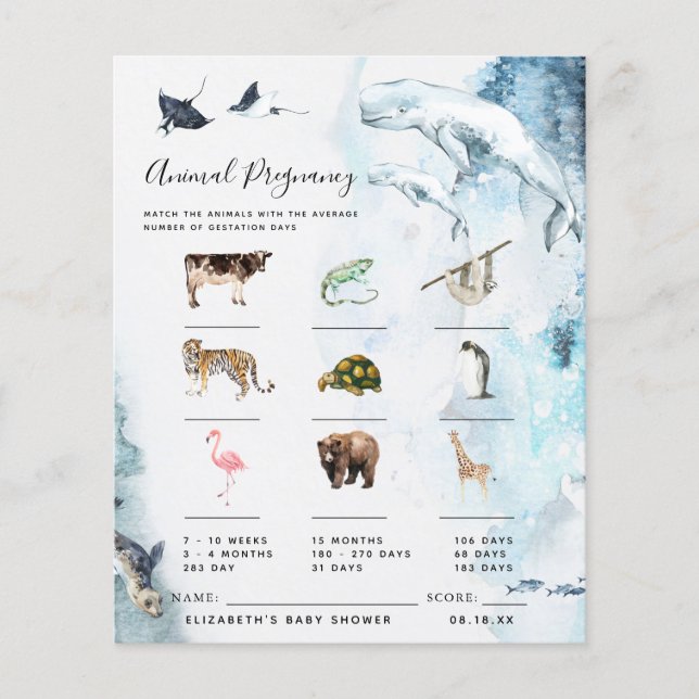 Gravidez | Jogo Chá de fraldas (Frente)