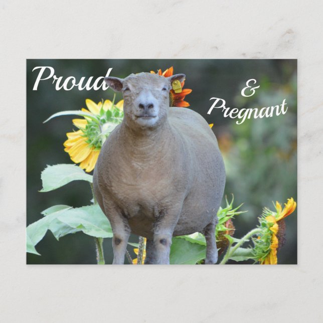 Gravidez Quaint do Cartão de Anúncio (Frente)