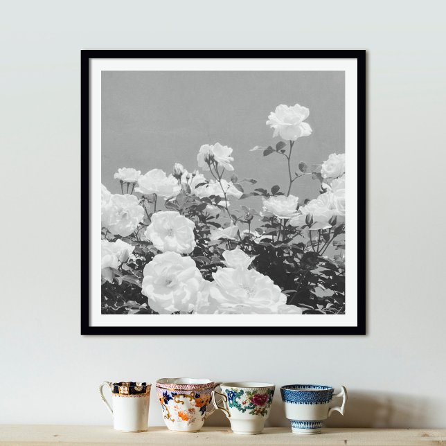 Gray Roses Floral Garden Photo Art Print Poster (Criador carregado)