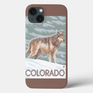 Gray Wolf StandingColorado