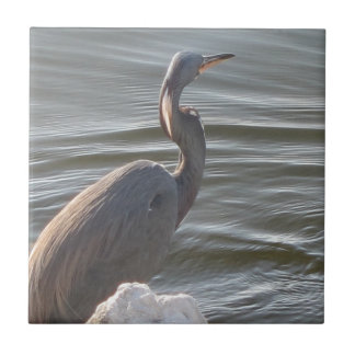 Great Blue Heron by the Water