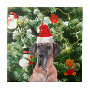 Great Dane com Caixas de Presente de Árvore de Nat