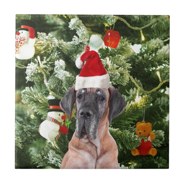 Great Dane com Caixas de Presente de Árvore de Nat (Frente)