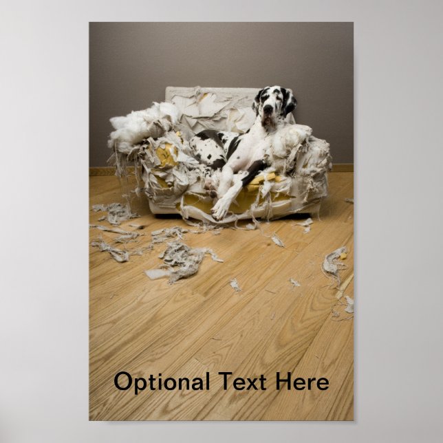 Great Dane Poster (Frente)