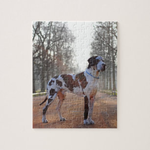 Great Dane Quebra-cabeça
