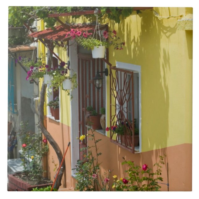 GRÉCIA, Ilhas do Egeu Nordeste, LESVOS (Frente)