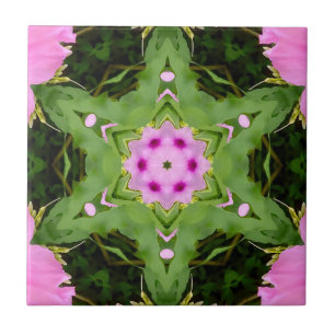 GREEN AND PINK ABSTRACT DRAWING. SAMER BRASIL. 4