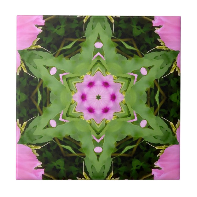 GREEN AND PINK ABSTRACT DRAWING. SAMER BRASIL. 4 (Frente)