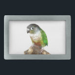 Green Cheek Conure<br><div class="desc">Uma conura verde-lateral amarela é mostrada dizendo nesta bela fivela de cinto</div>