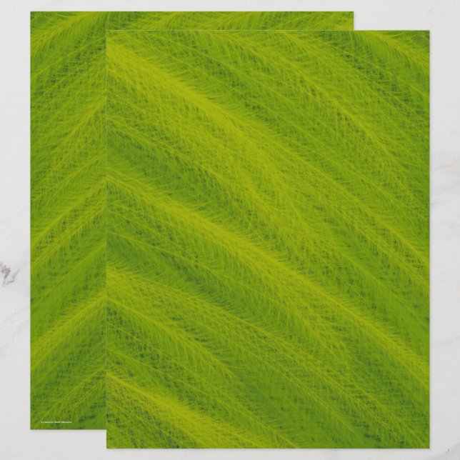 Green Field of Wheat Scrapbook Paper 2-Sided Page (Frente/Verso)