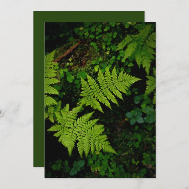 Green forest fern, Earth Day Card (Frente/Verso)