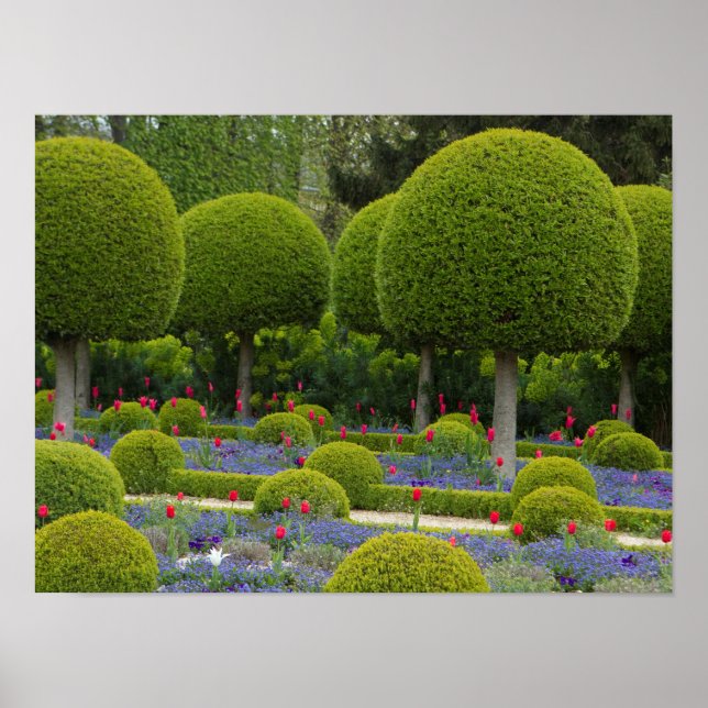 Green Globe Shape Trees Poster (Frente)