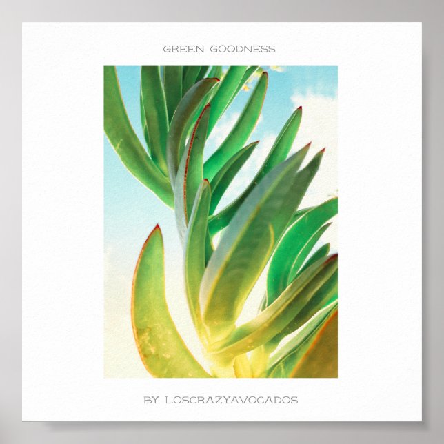Green Goodness Succult Plant Aloe Poster (Frente)