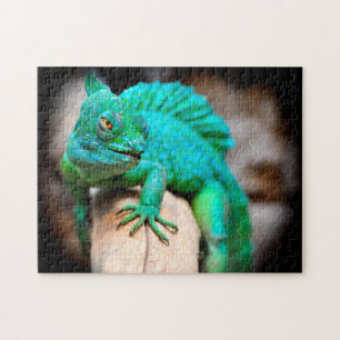 Green Iguana Close, Quebra-cabeça de Jigsaw
