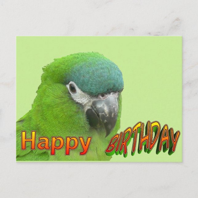 Green Lorikeet Happy Birthday Cust. Cartão Postal (Frente)