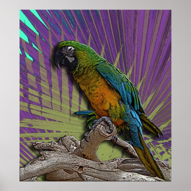 Green Parrot poster (Frente)