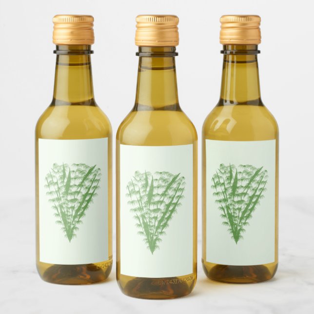 Green plant in the shape of a bouquet. (Garrafas)