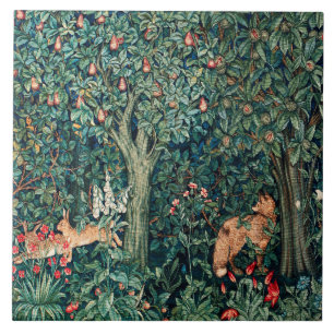 GREENERAÇÃO,Orelhas de ANIMAIS FLORESTAIS,Raposa,F