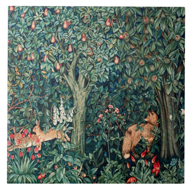 GREENERAÇÃO,Orelhas de ANIMAIS FLORESTAIS,Raposa,F (Frente)