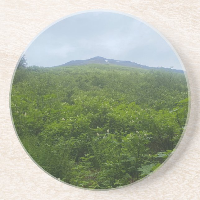 Greenery & Mountain View Porta copos (Frente)