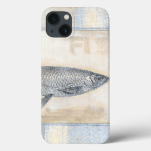 Grey Fish on Beige Background