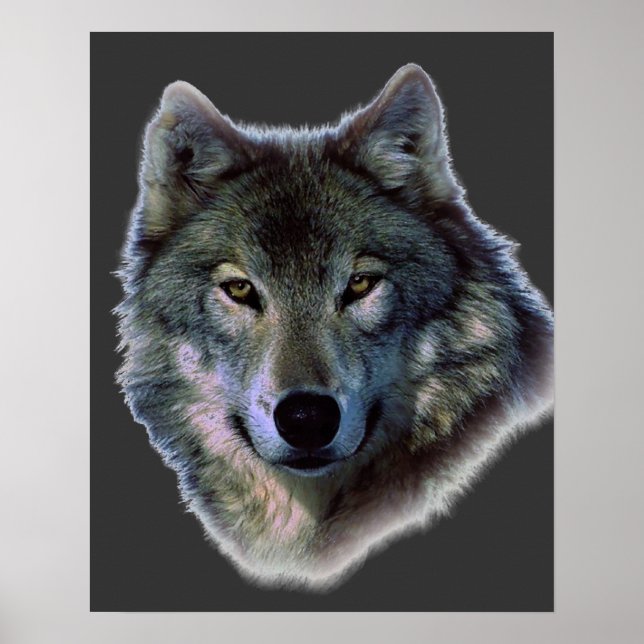 Grey Wolf Eyes Artwork Poster Print (Frente)