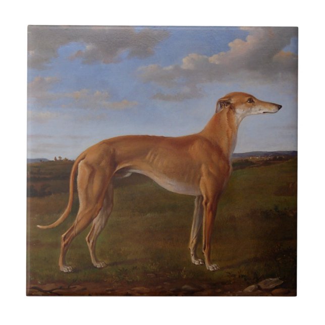 Greyhound (Frente)